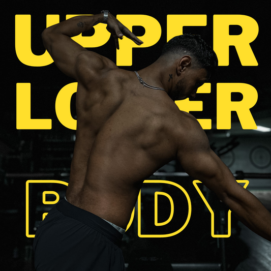 TP UPPER/LOWER BODY PLAN